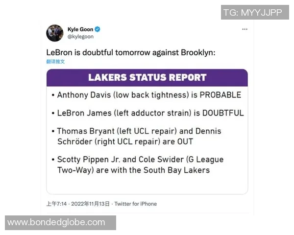 湖人对阵篮网比赛数据分析与球队表现深度解读